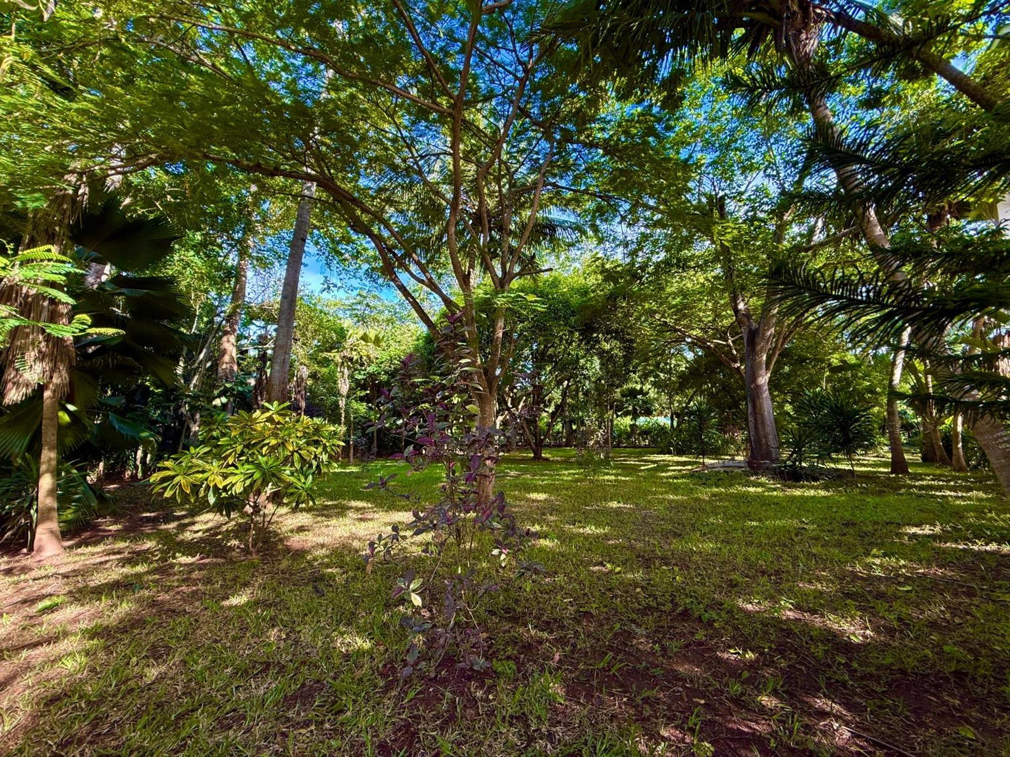 Galu Ecolodge - Diani Beach Exterior photo
